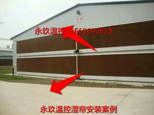 麻豆99精品视频网安裝現場