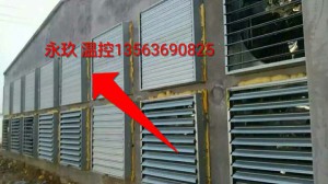 麻豆精品无码安裝現場