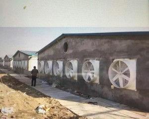 麻豆精品无码安裝現場