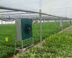 麻豆精品无码安裝現場